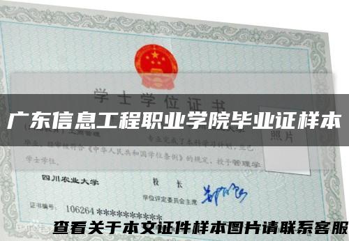 广东信息工程职业学院毕业证样本缩略图
