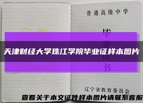 天津财经大学珠江学院毕业证样本图片缩略图