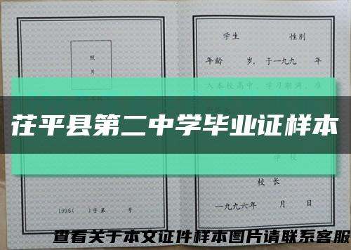 茌平县第二中学毕业证样本缩略图
