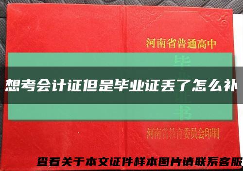 想考会计证但是毕业证丢了怎么补缩略图