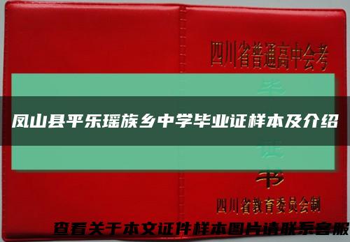 凤山县平乐瑶族乡中学毕业证样本及介绍缩略图