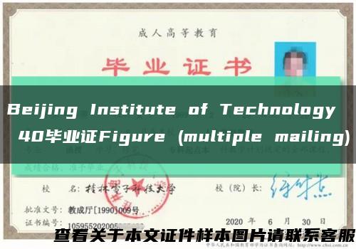 Beijing Institute of Technology 40毕业证Figure (multiple mailing)缩略图
