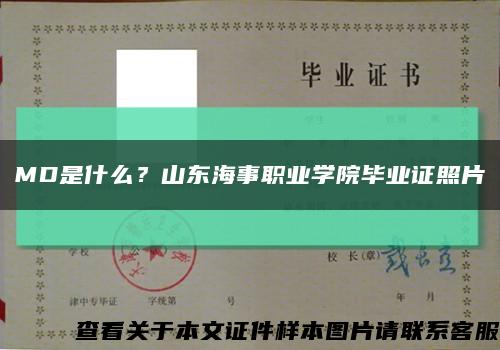 MD是什么？山东海事职业学院毕业证照片缩略图