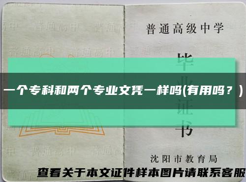 一个专科和两个专业文凭一样吗(有用吗？)缩略图