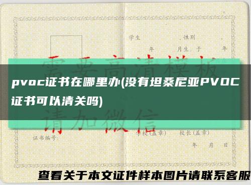 pvoc证书在哪里办(没有坦桑尼亚PVOC证书可以清关吗)缩略图