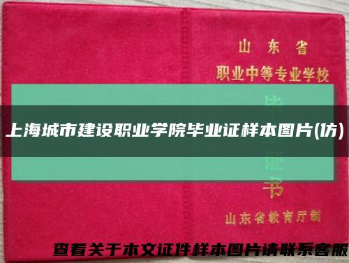 上海城市建设职业学院毕业证样本图片(仿)缩略图