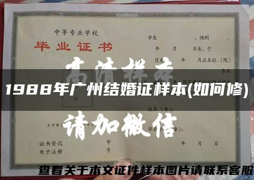 1988年广州结婚证样本(如何修)缩略图