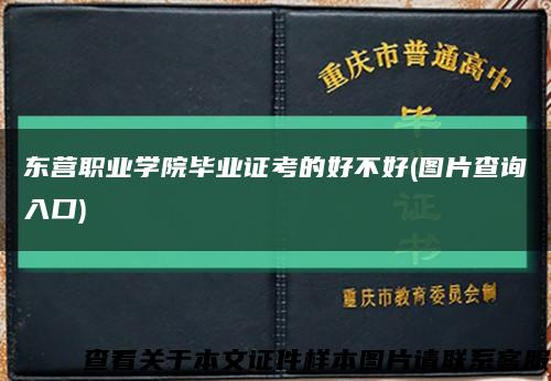 东营职业学院毕业证考的好不好(图片查询入口)缩略图