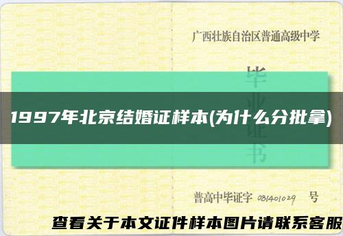 1997年北京结婚证样本(为什么分批拿)缩略图