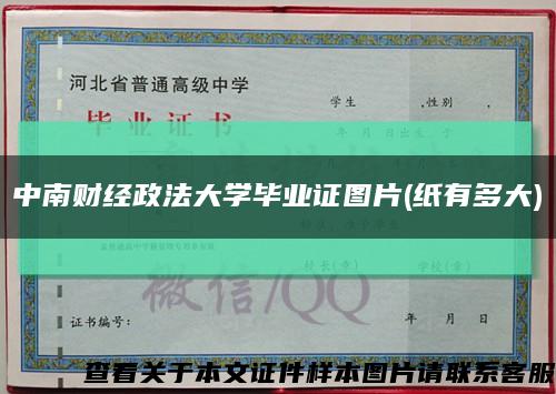 中南财经政法大学毕业证图片(纸有多大)缩略图