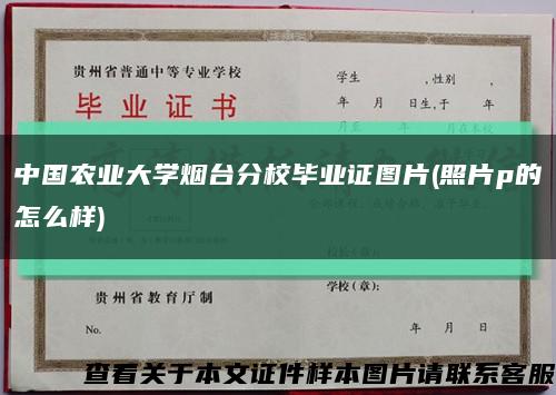 中国农业大学烟台分校毕业证图片(照片p的怎么样)缩略图