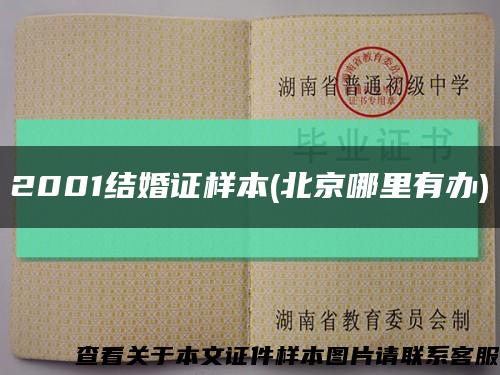 2001结婚证样本(北京哪里有办)缩略图