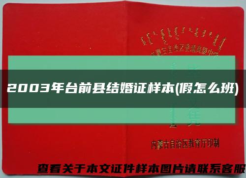 2003年台前县结婚证样本(假怎么班)缩略图