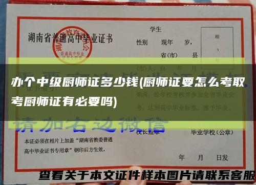 办个中级厨师证多少钱(厨师证要怎么考取考厨师证有必要吗)缩略图