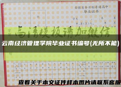 云南经济管理学院毕业证书编号(无所不能)缩略图