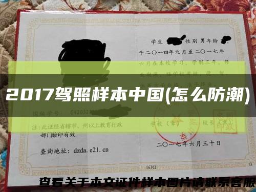 2017驾照样本中国(怎么防潮)缩略图