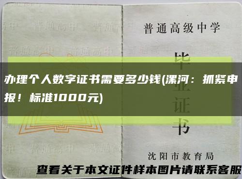 办理个人数字证书需要多少钱(漯河：抓紧申报！标准1000元)缩略图