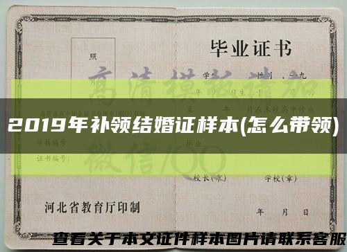 2019年补领结婚证样本(怎么带领)缩略图
