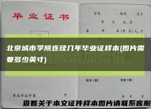北京城市学院连续几年毕业证样本(图片需要多少英寸)缩略图