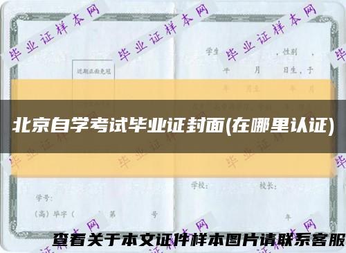 北京自学考试毕业证封面(在哪里认证)缩略图