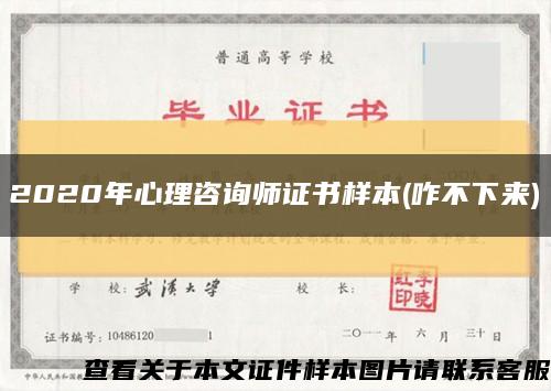 2020年心理咨询师证书样本(咋不下来)缩略图