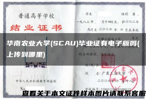 华南农业大学(SCAU)毕业证有电子版吗(上传到哪里)缩略图