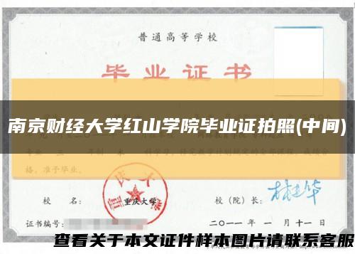 南京财经大学红山学院毕业证拍照(中间)缩略图