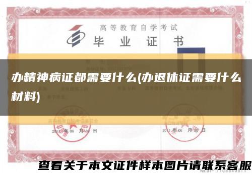 办精神病证都需要什么(办退休证需要什么材料)缩略图