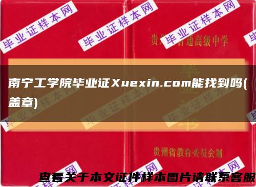 南宁工学院毕业证Xuexin.com能找到吗(盖章)缩略图