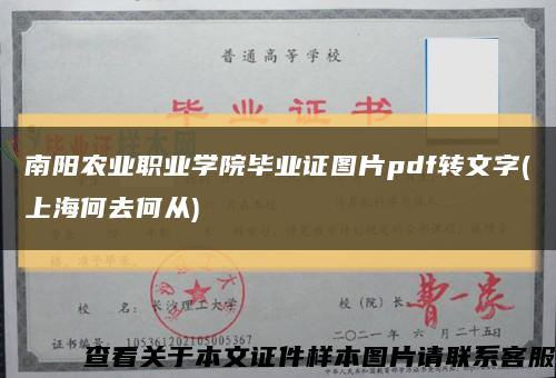 南阳农业职业学院毕业证图片pdf转文字(上海何去何从)缩略图