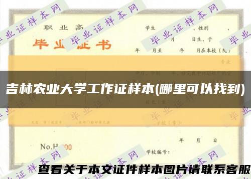 吉林农业大学工作证样本(哪里可以找到)缩略图