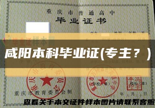 咸阳本科毕业证(专主？)缩略图