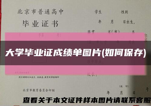 大学毕业证成绩单图片(如何保存)缩略图