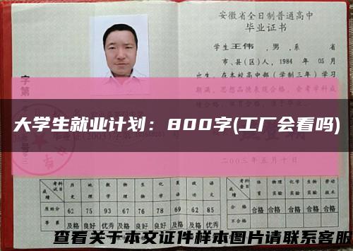 大学生就业计划：800字(工厂会看吗)缩略图