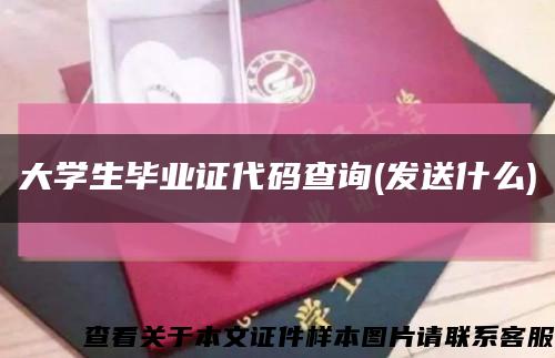 大学生毕业证代码查询(发送什么)缩略图