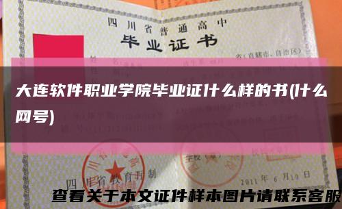 大连软件职业学院毕业证什么样的书(什么网号)缩略图