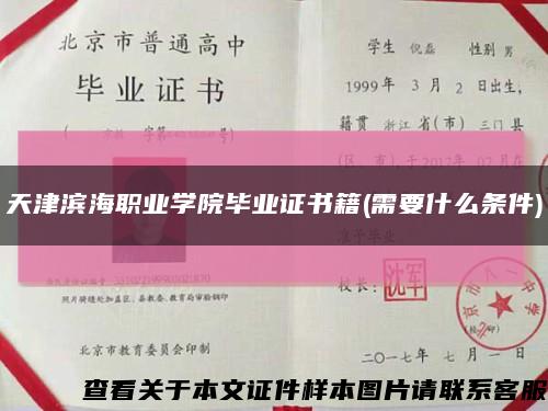 天津滨海职业学院毕业证书籍(需要什么条件)缩略图