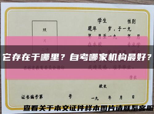它存在于哪里？自考哪家机构最好？缩略图