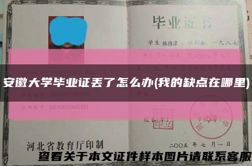 安徽大学毕业证丢了怎么办(我的缺点在哪里)缩略图