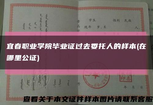 宜春职业学院毕业证过去委托人的样本(在哪里公证)缩略图