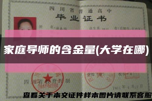 家庭导师的含金量(大学在哪)缩略图