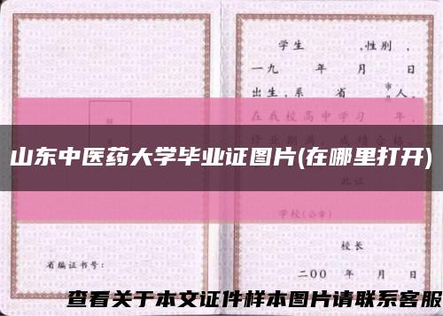 山东中医药大学毕业证图片(在哪里打开)缩略图