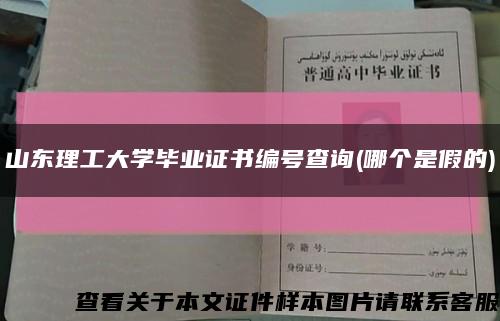山东理工大学毕业证书编号查询(哪个是假的)缩略图