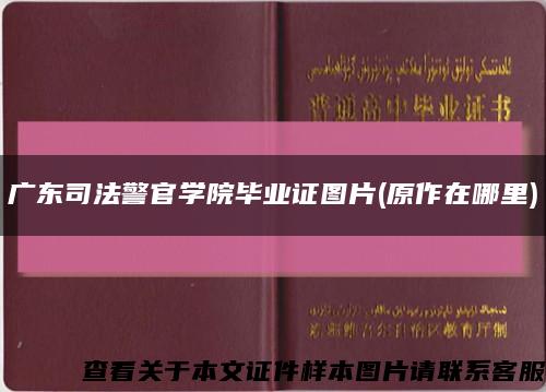 广东司法警官学院毕业证图片(原作在哪里)缩略图