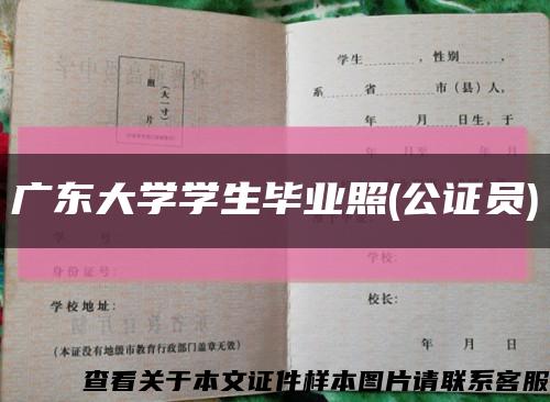 广东大学学生毕业照(公证员)缩略图