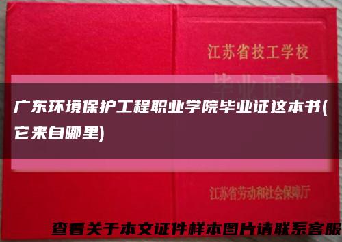 广东环境保护工程职业学院毕业证这本书(它来自哪里)缩略图