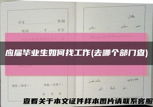 应届毕业生如何找工作(去哪个部门查)缩略图