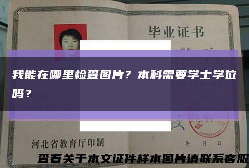 我能在哪里检查图片？本科需要学士学位吗？缩略图