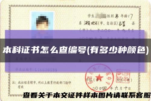 本科证书怎么查编号(有多少种颜色)缩略图