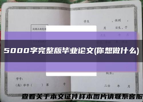 5000字完整版毕业论文(你想做什么)缩略图